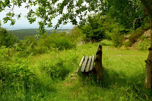 保持顶尖水 保持顶尖水