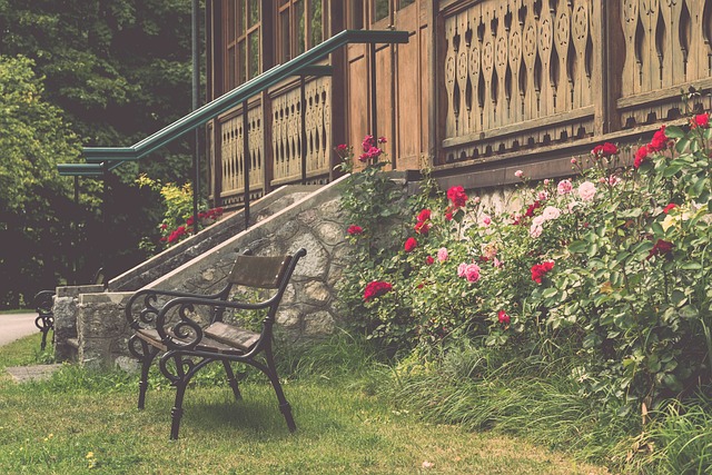 尤其是在亚 尤其是在亚