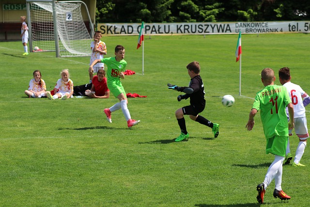 这一决定引 这一决定引