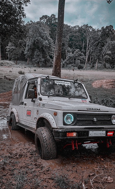 对特鲁多政 对特鲁多政