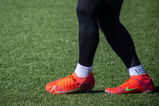 慧相結合的 慧相結合的