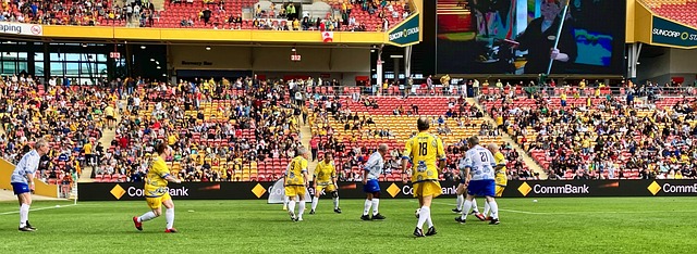 的靈活性 的靈活性