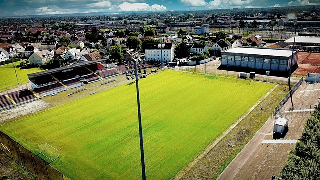 已经深深镌 已经深深镌